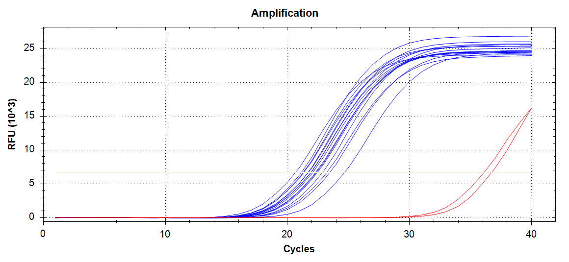 Cg_18s amplification plot