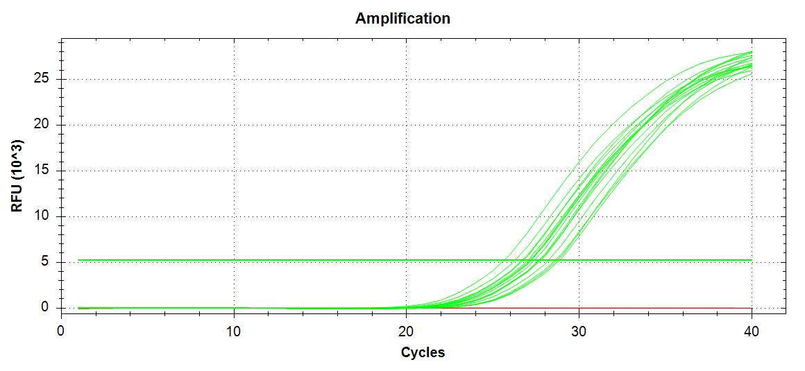 Cg_ATPsynthase amplification plot