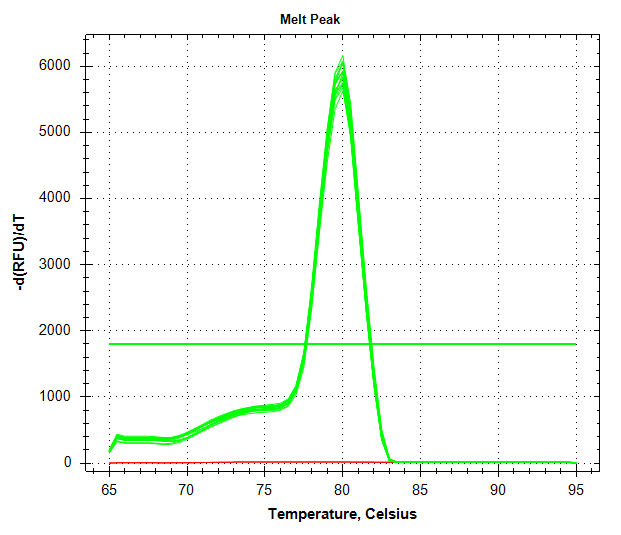 Cg_ATPsynthase melt curve