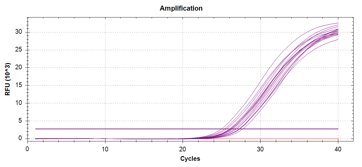 Cg_CitrateSynthase amplification plot
