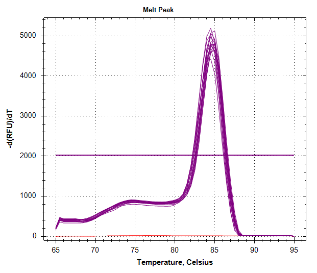 Cg_CitrateSynthase melt curve