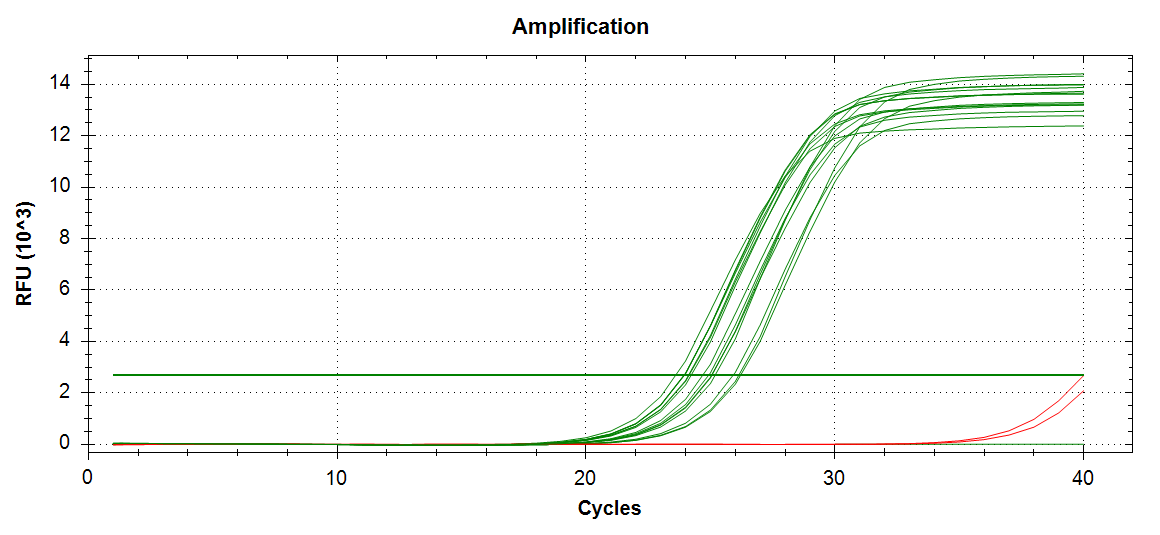 Cg_GAPDH amplification plot