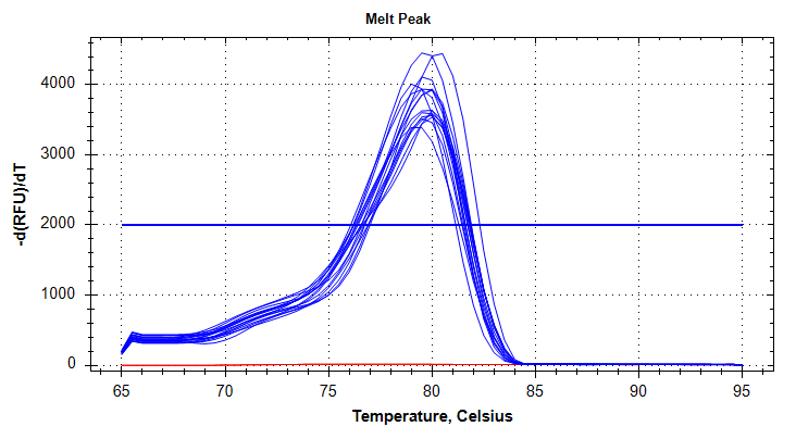 Cg_HSP70 melt curve