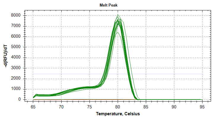 Cg_HSP90 melt curve