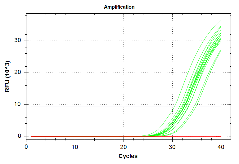 Cg_VIPERIN amplification plot