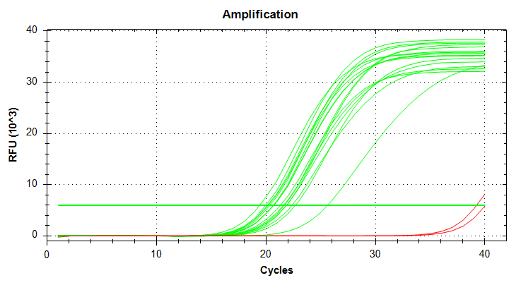 Cg_18s amplification plot