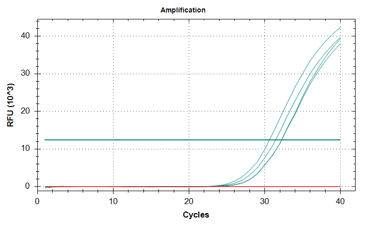 Cg_DICER amplification plot