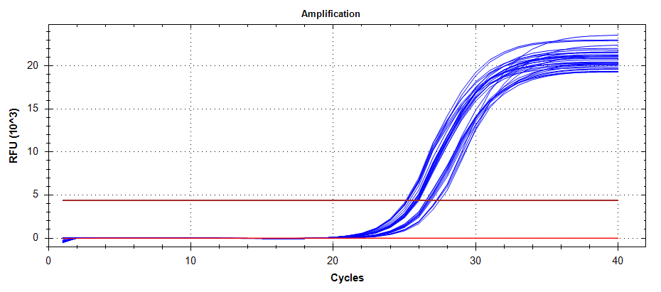 ATPsynthase amplification plots