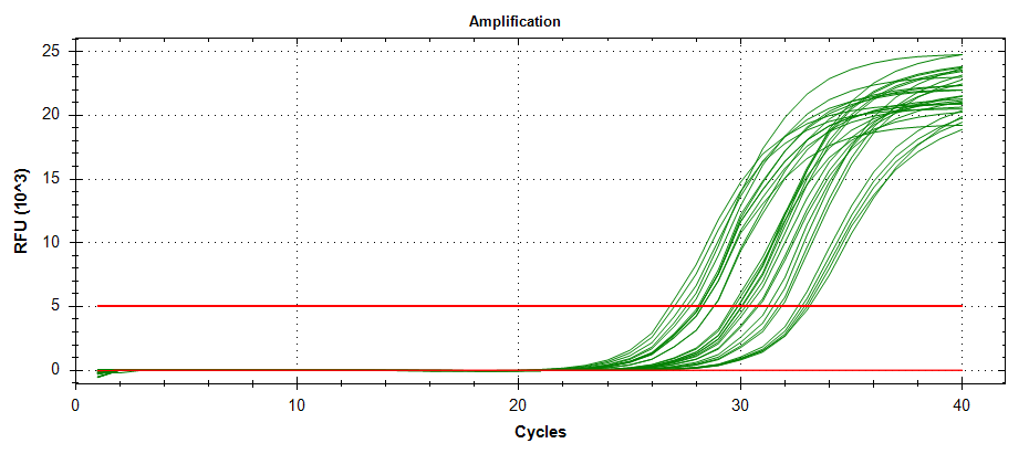 HSP70 amplification plots