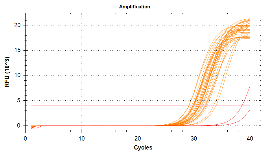 cGAS amplification plots
