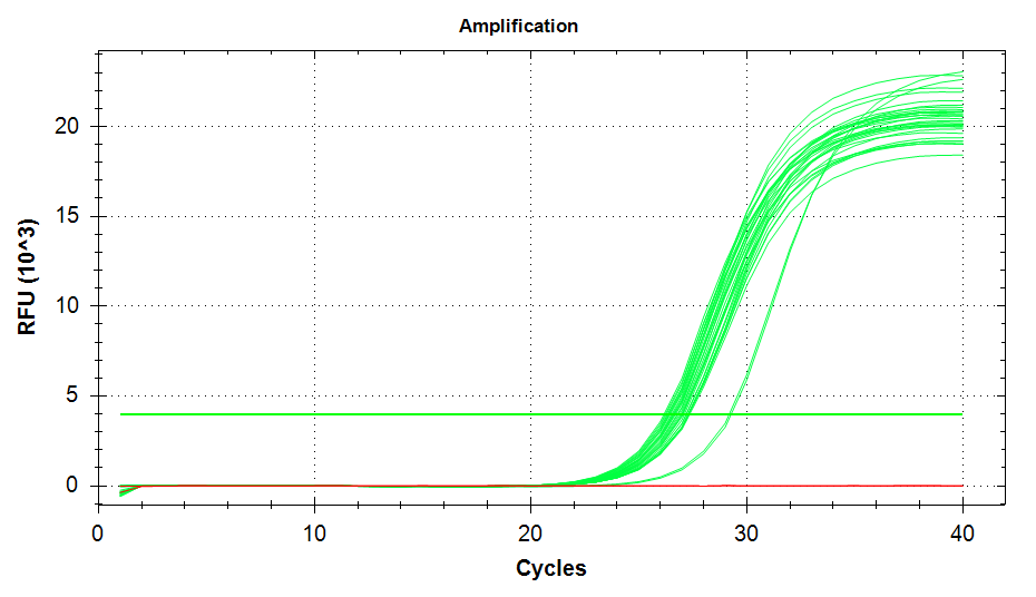 citrate synthase amplification plots
