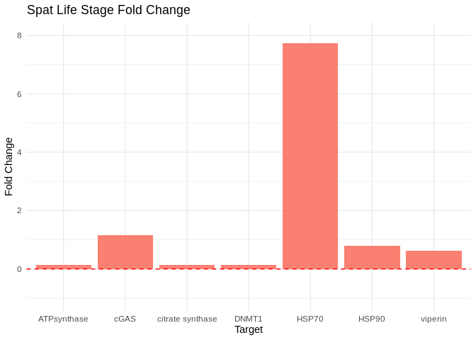 Bar plots showing fold change in expression (2^(-delta delta Cq)) in spat. HSP90 is the only gene which is more highly expressed in treatment relative to controls in spat.