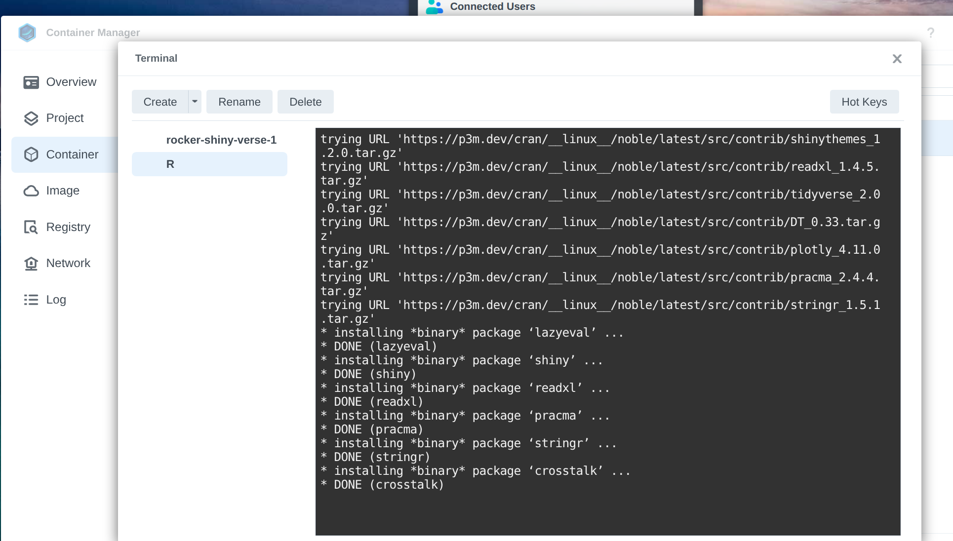 R package installation in progress. Displays the output and progress of the installation process.